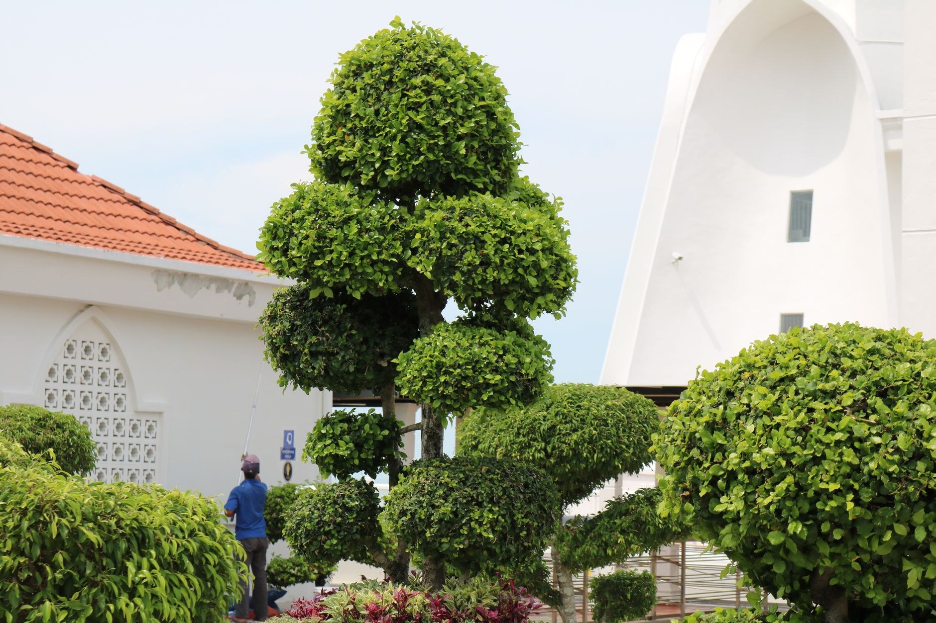 Residential gardens