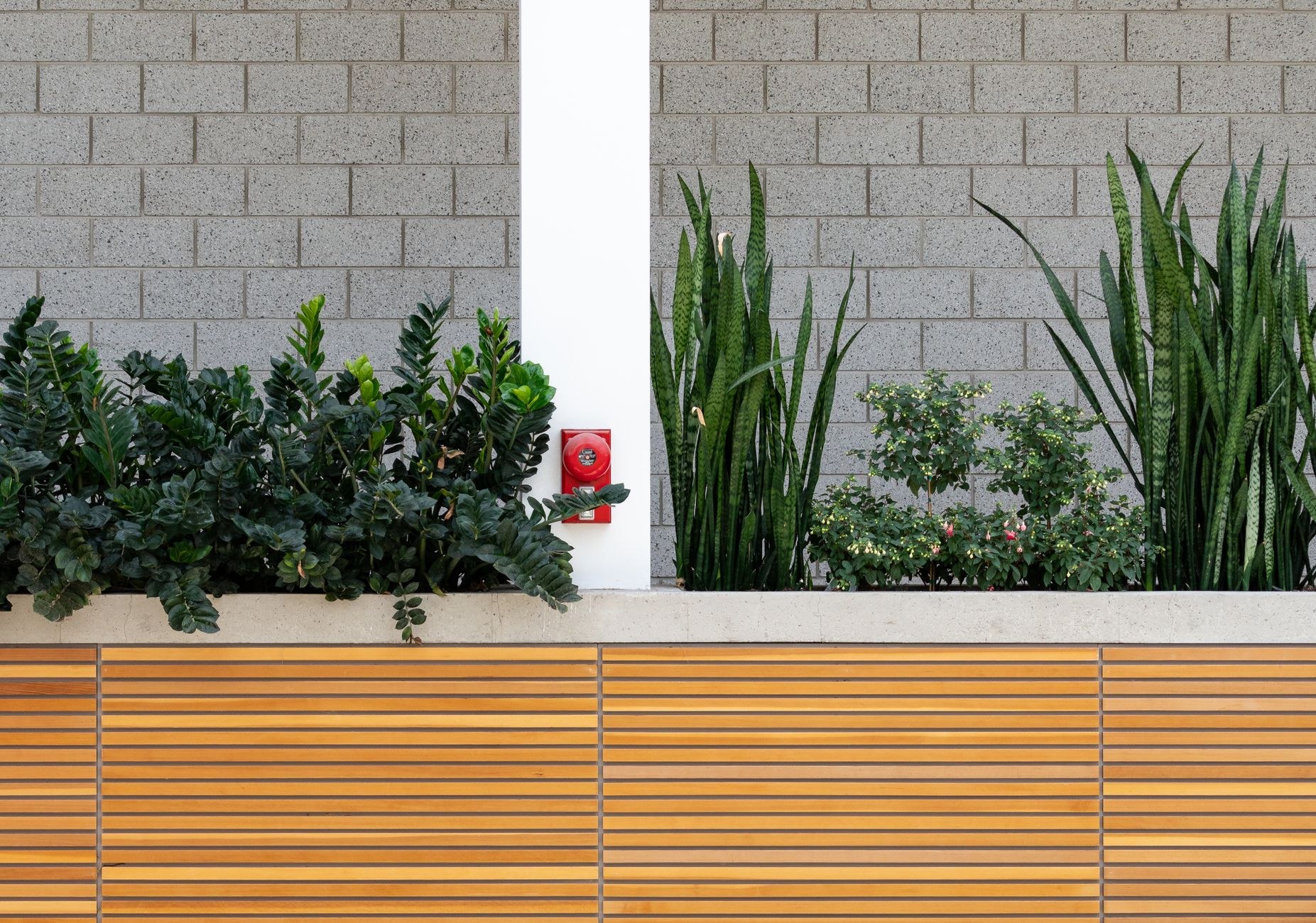 Commercial & public realm