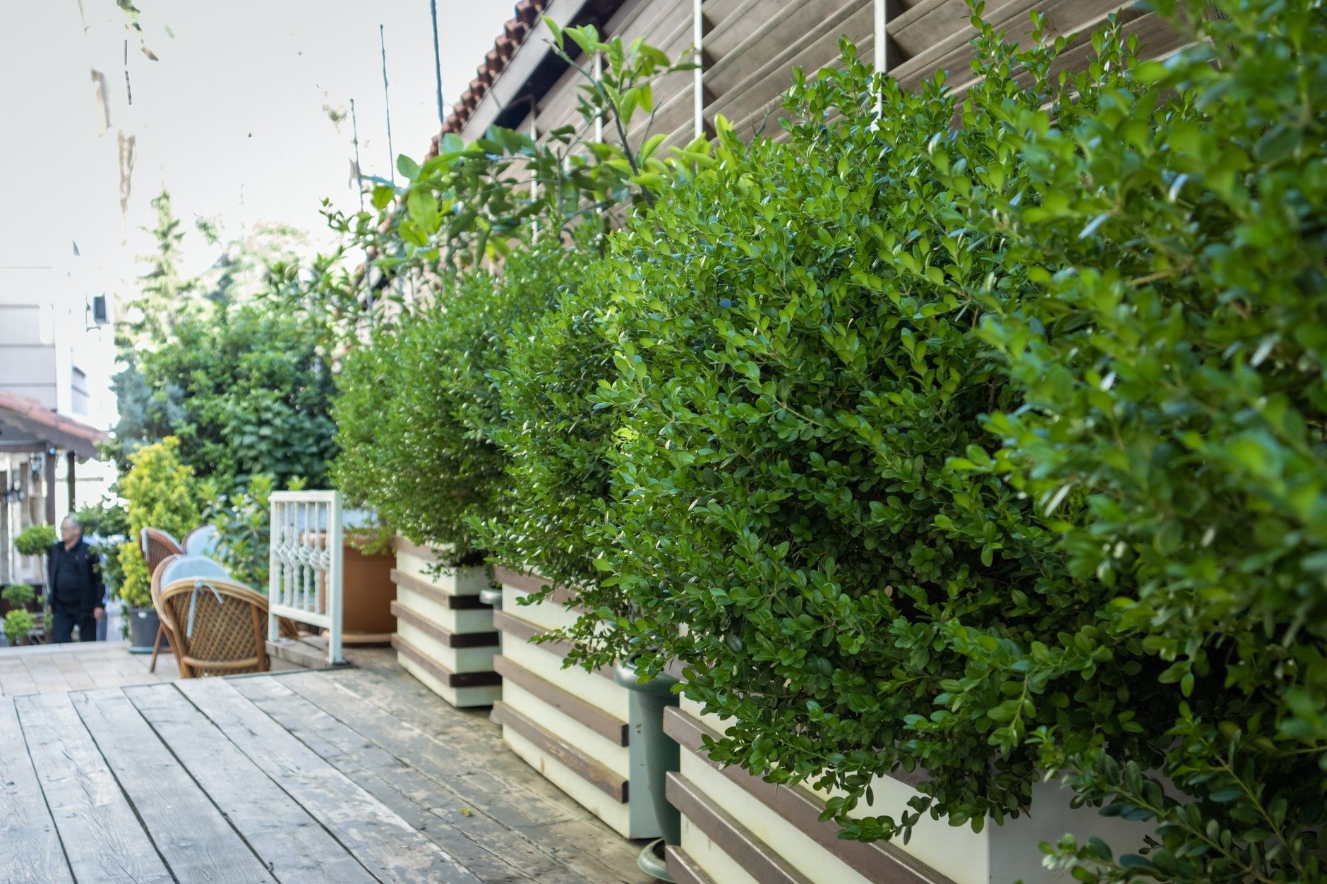 Planting & horticulture